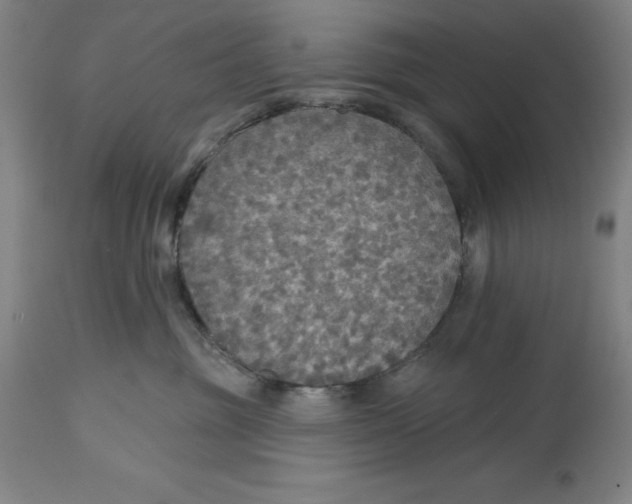 X0000114610381200911171040