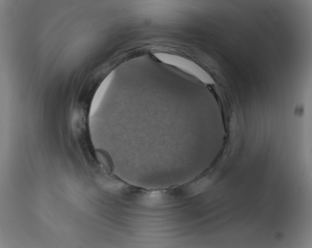 X0000114610382200911171040