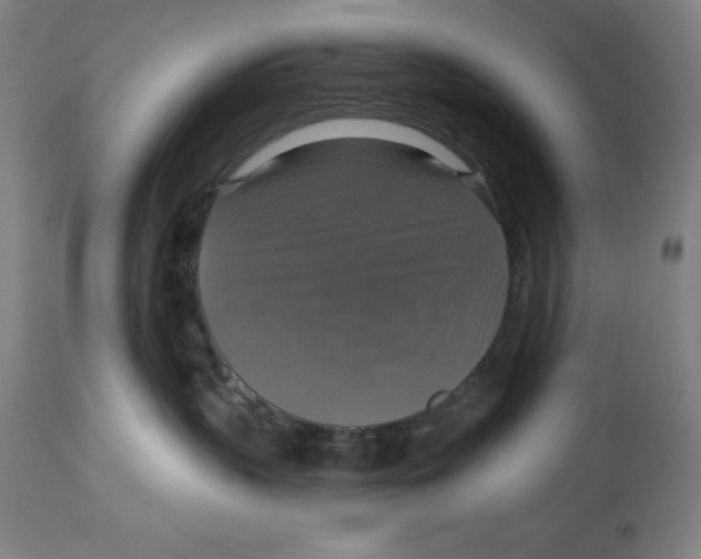 X0000114610383200911171040