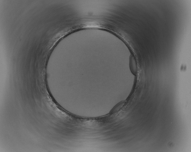 X0000114610385200911171040