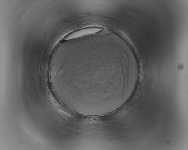 X0000114610386200911171040