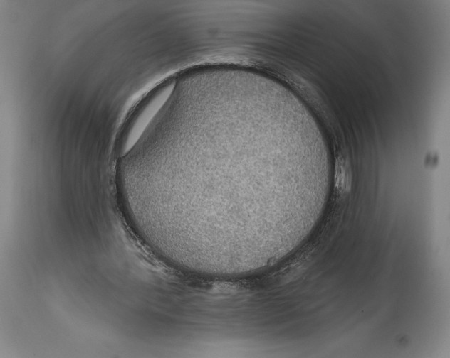 X0000114610388200911171040