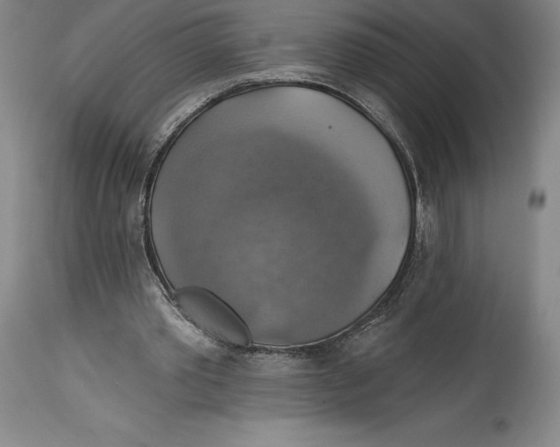 X0000114610389200911171040