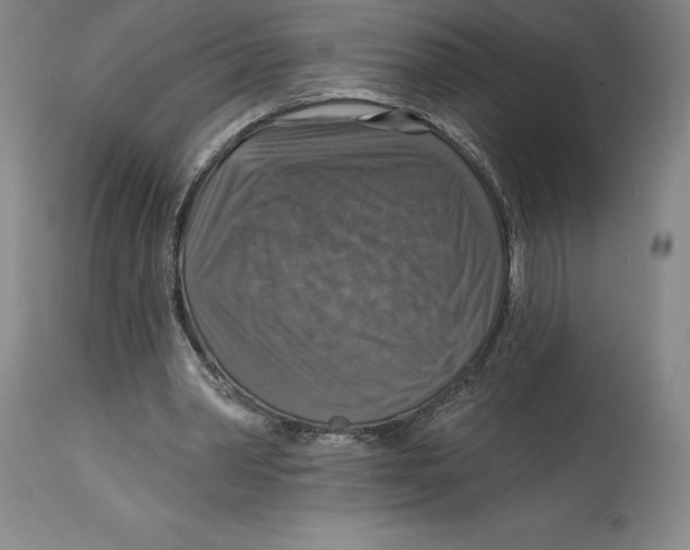 X0000114610390200911171040