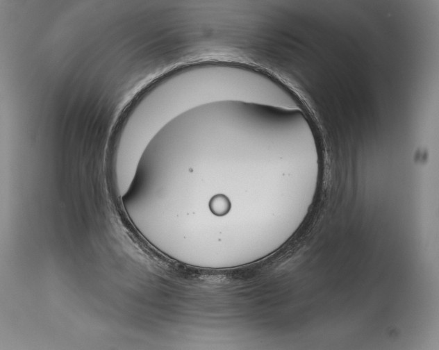 X0000114610391200911171040