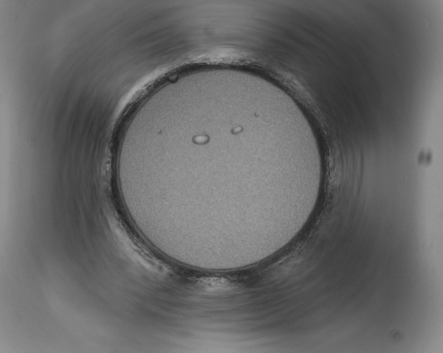 X0000114610392200911171040