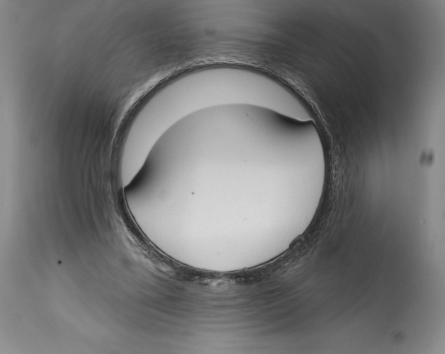 X0000114610395200911171039