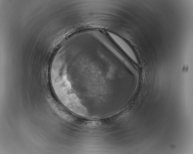 X0000114610398200911171039