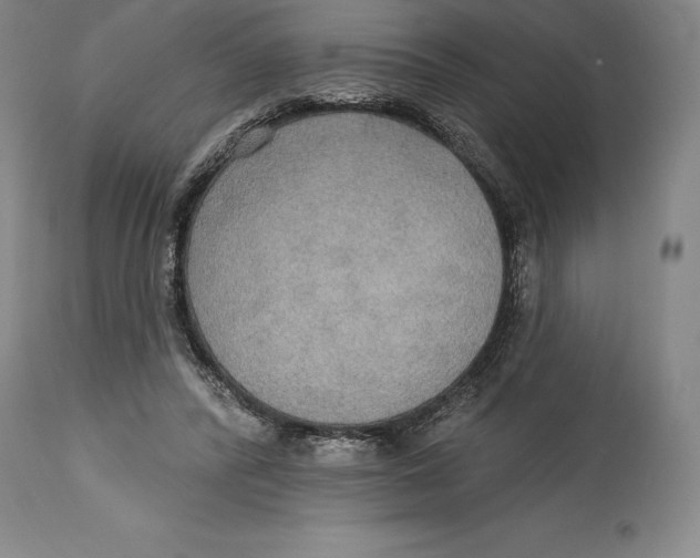 X0000114610400200911171039