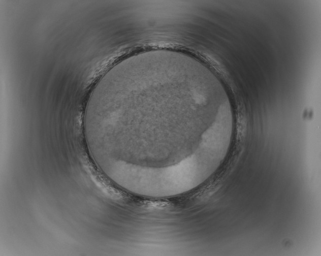 X0000114610401200911171039