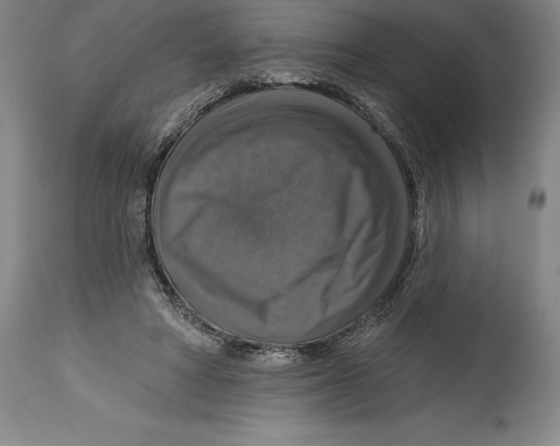 X0000114610402200911171039