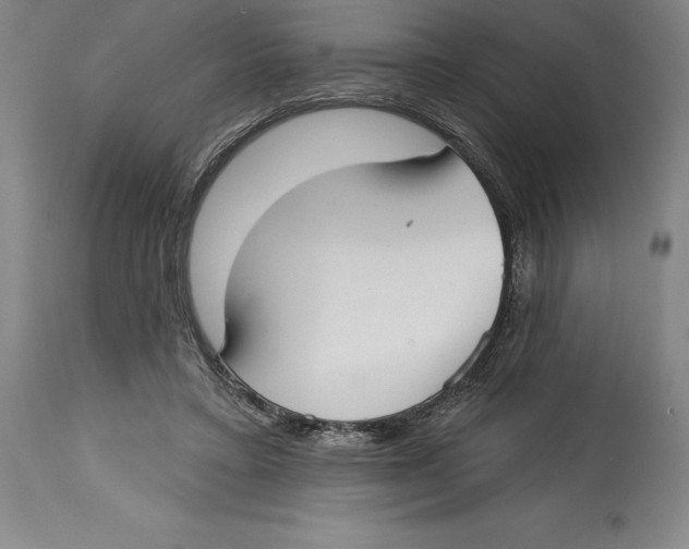 X0000114610403200911171039