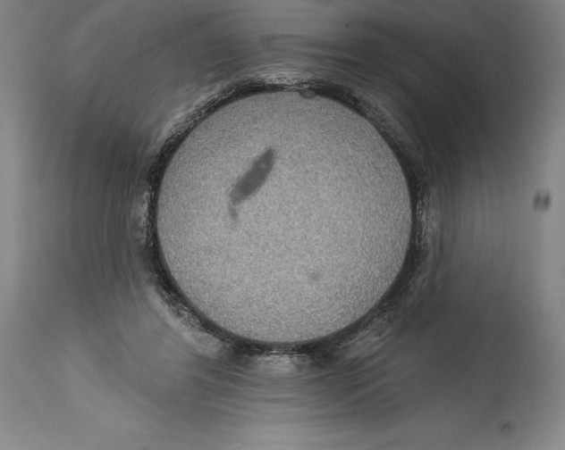 X0000114610404200911171039