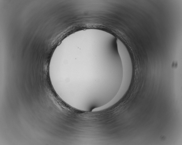 X0000114610405200911171039