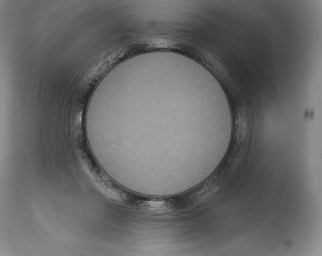 X0000114610406200911171039