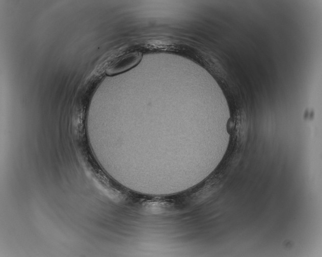 X0000114610408200911171039