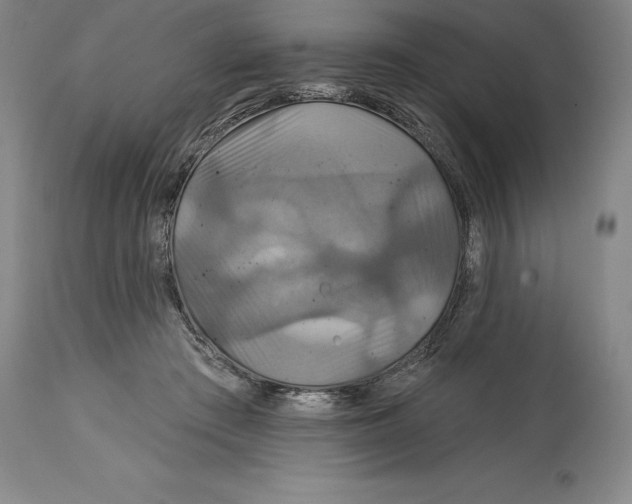 X0000114610409200911171039