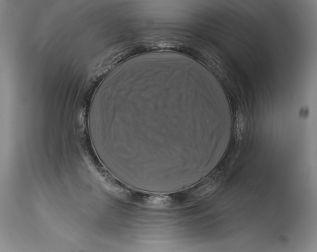 X0000114610410200911171039