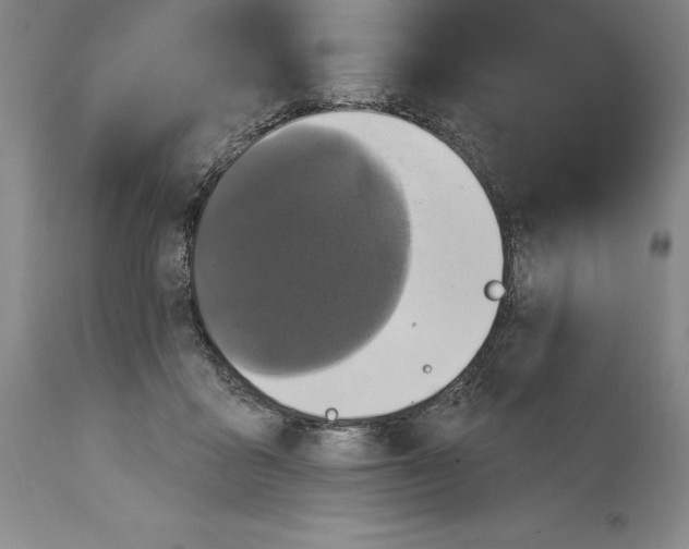 X0000114610411200911171039