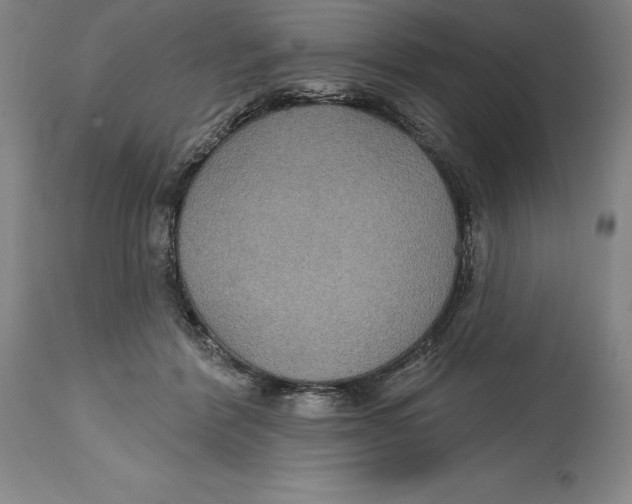 X0000114610412200911171039