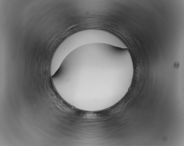 X0000114610413200911171039