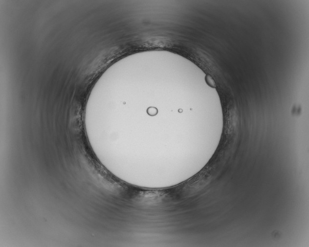 X0000114610414200911171039