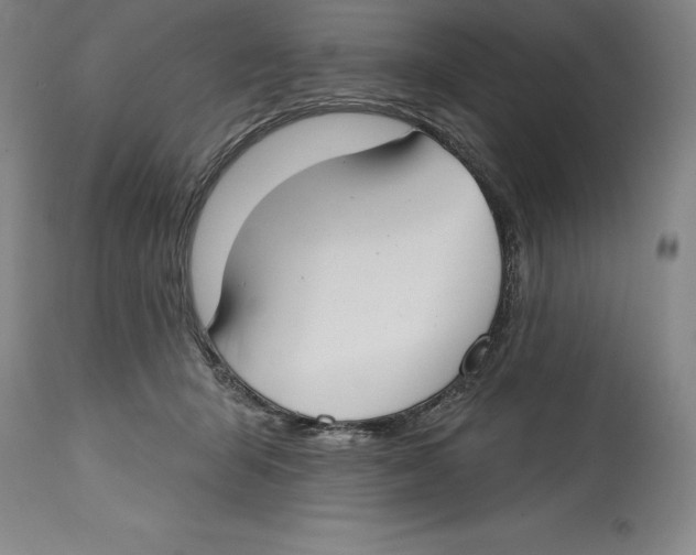 X0000114610415200911171039