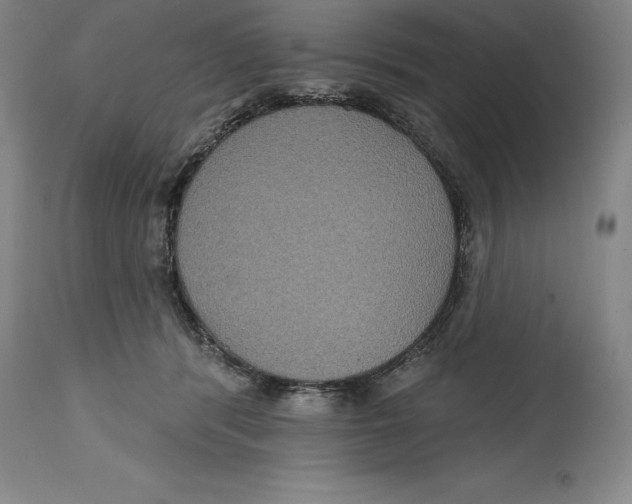 X0000114610416200911171039