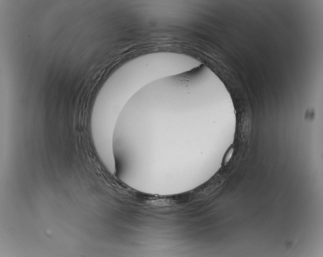 X0000114610417200911171039