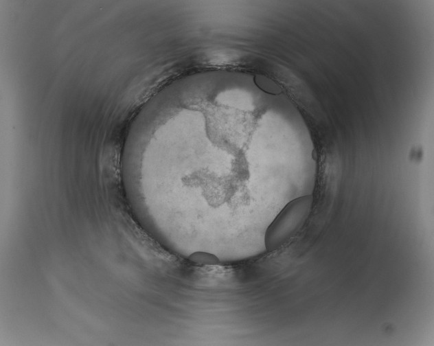 X0000114610421200911171039