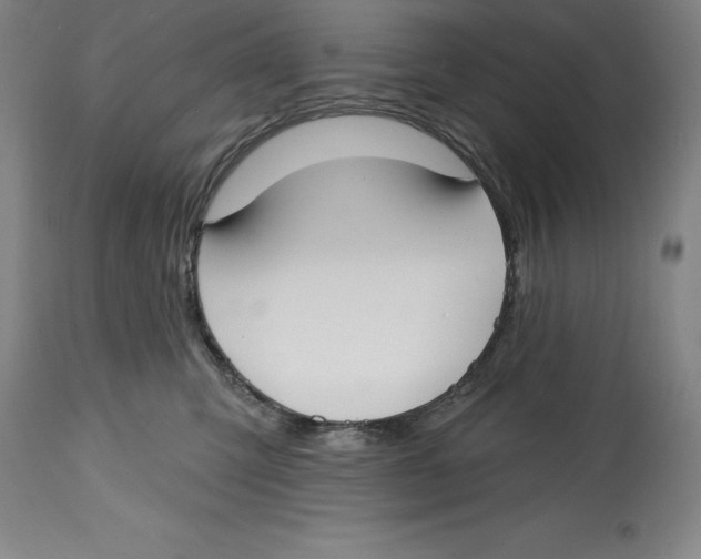 X0000114610423200911171039