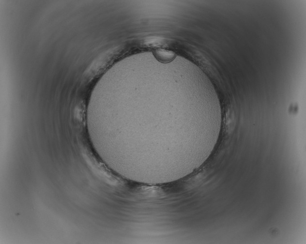 X0000114610424200911171039