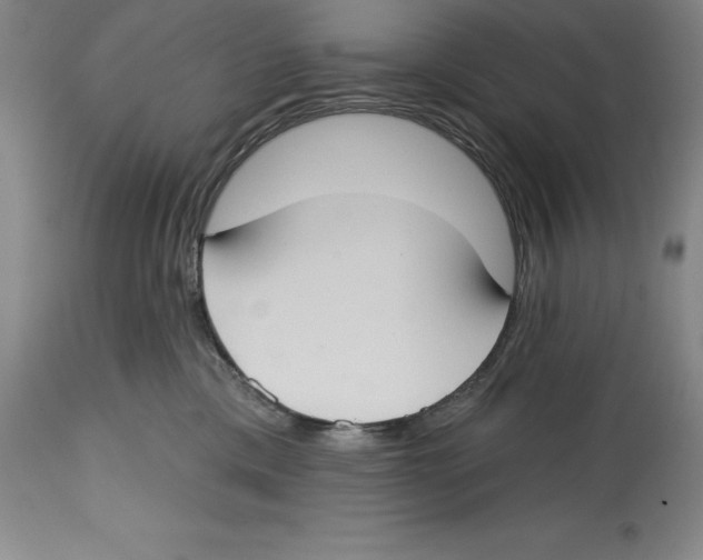 X0000114610425200911171039