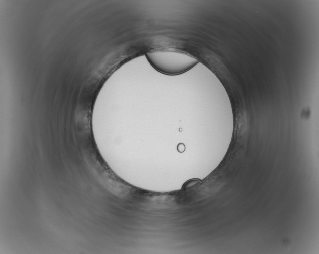 X0000114610426200911171039