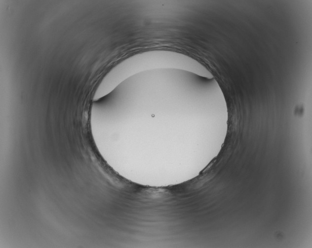 X0000114610427200911171039