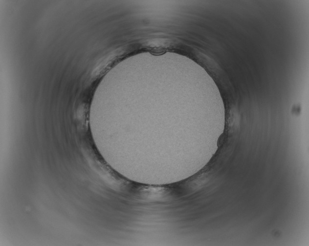 X0000114610428200911171039