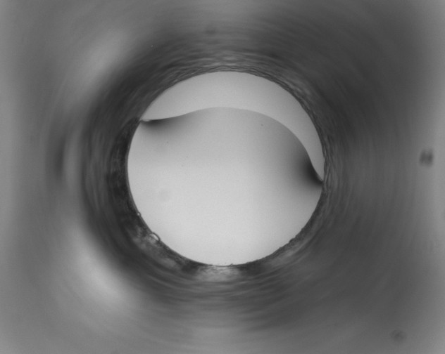 X0000114610429200911171039