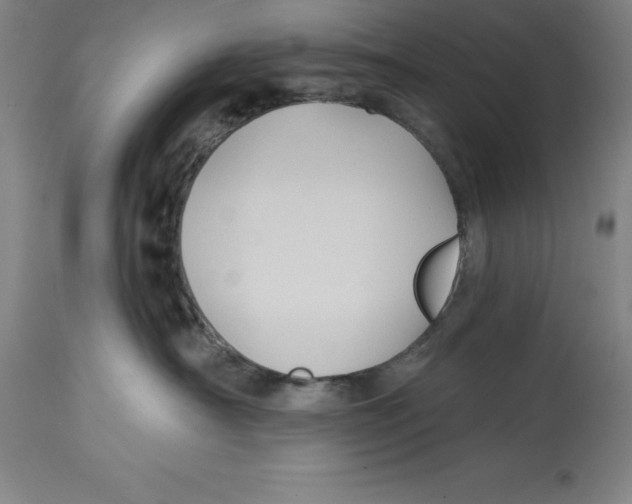 X0000114610430200911171039