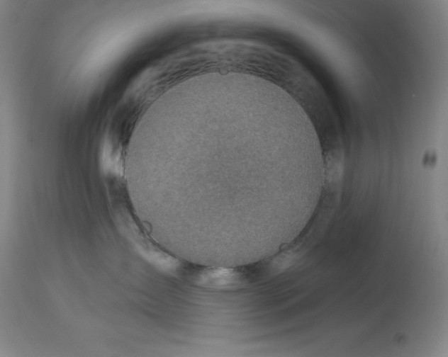 X0000114610431200911171039