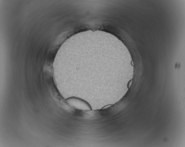 X0000114610432200911171039