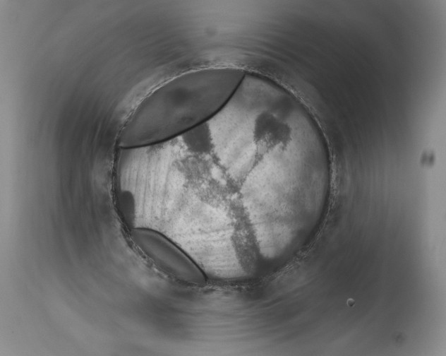 X0000114610434200911171038