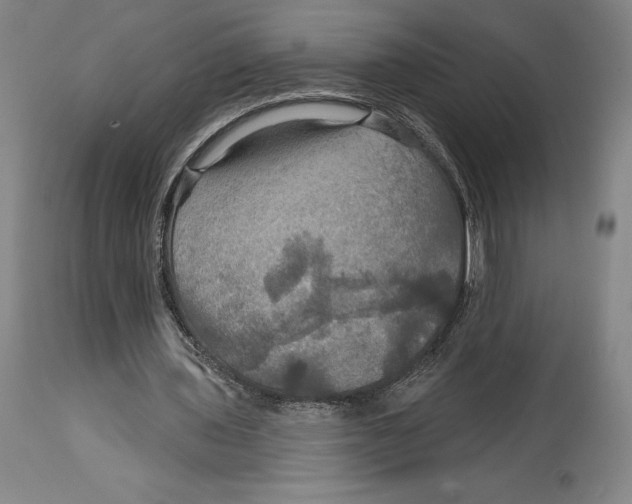 X0000114610435200911171038