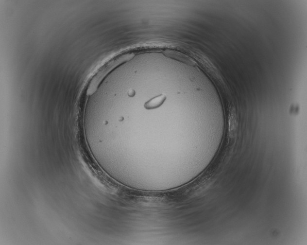 X0000114610436200911171038