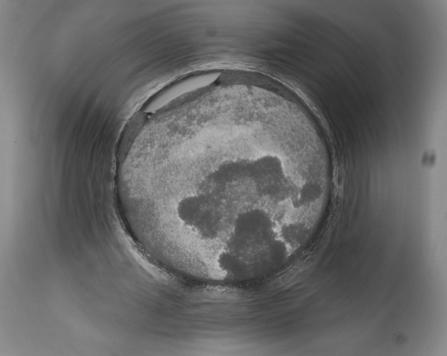 X0000114610437200911171038