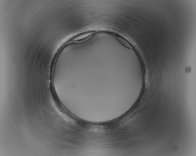 X0000114610438200911171038