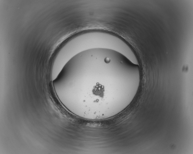 X0000114610440200911171038