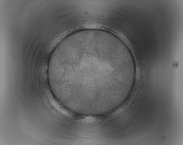 X0000114610441200911171038