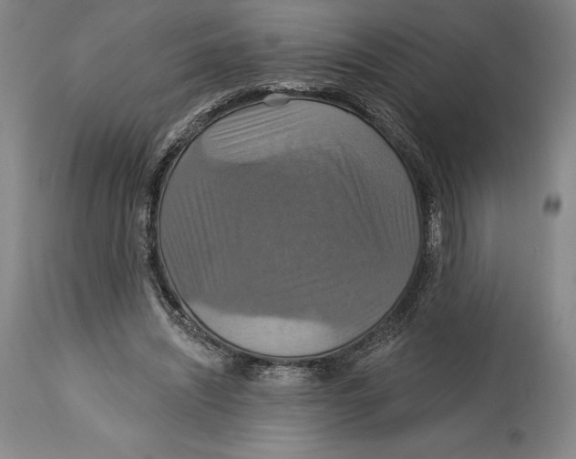 X0000114610444200911171038