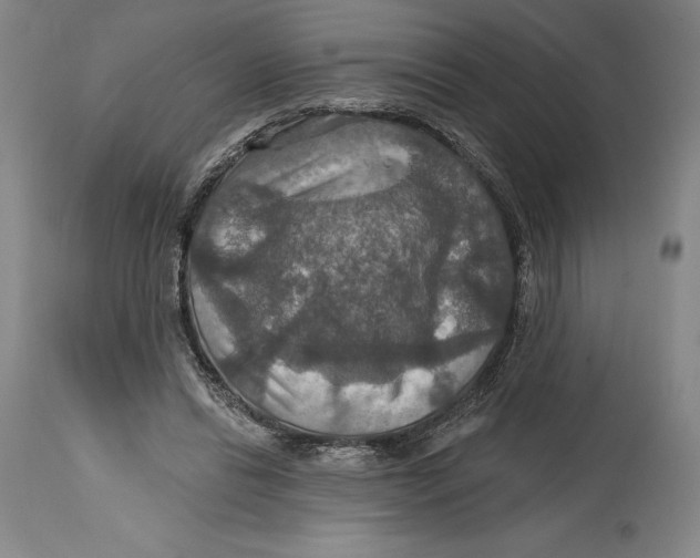 X0000114610446200911171038