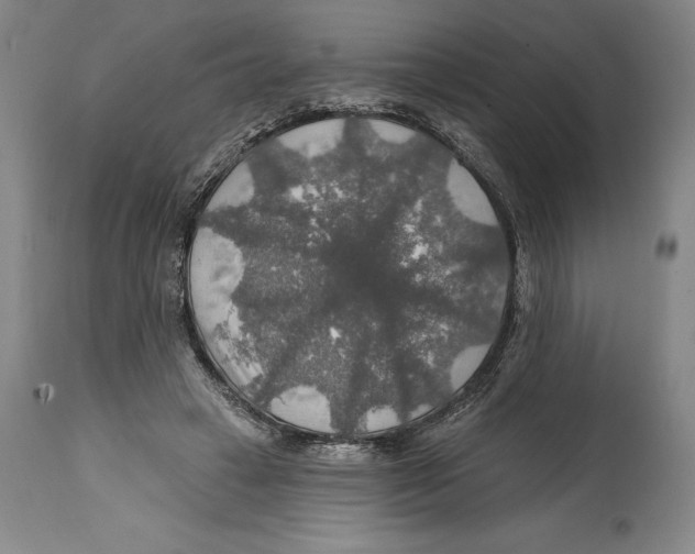 X0000114610449200911171039